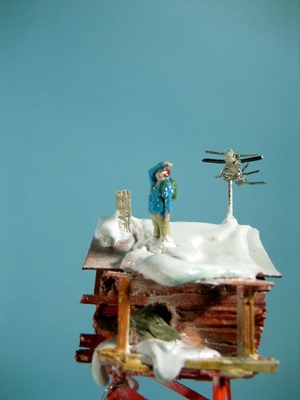 barnacle (detail)