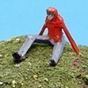 Surveyor