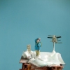 barnacle (detail)