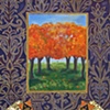 Autumn Royals