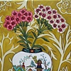 Sweet William