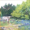 LANDSCAPES