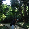 Documentary Camera and Sound