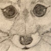 Eloise