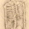 Skeleton Study
