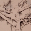 "Rubber Tree"