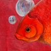 "Fish Out of Water"