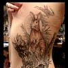 Watership down