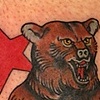 California Bear