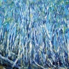 Blue Forest