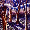 Moontree