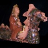 Sophia rides the dragon
