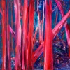 Red Forest Three