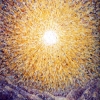 Sunburst