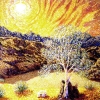 Sun Series