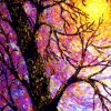 Wind Tree