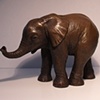 Baby Elephant