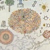 Technological Expedition 