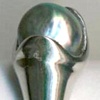  Abalone Pearl 
18kt. White Gold