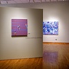 solo exhibition 
"Martina Nehrling: Paintings" 
at the South Bend Museum of Art
South Bend, IN
2005