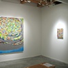 solo exhibition "In Defense of Wondering" at Zg Gallery, Chicago, IL 2012