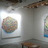 solo exhibition "In Defense of Wondering" at Zg Gallery, Chicago, IL 2012