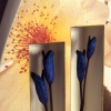 Botanicals