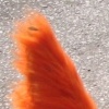 Fuzzy Cones