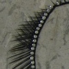 False Eyelashes