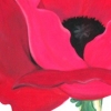 Poppy