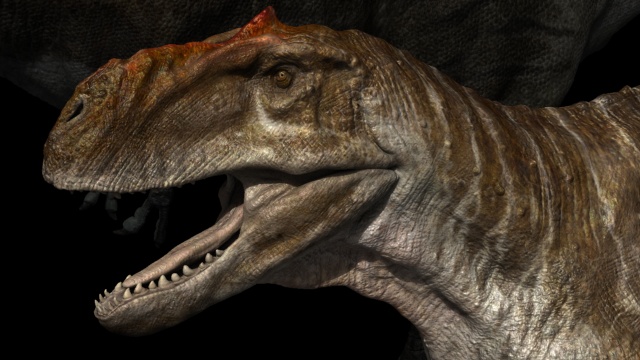 Rajasaurus Head