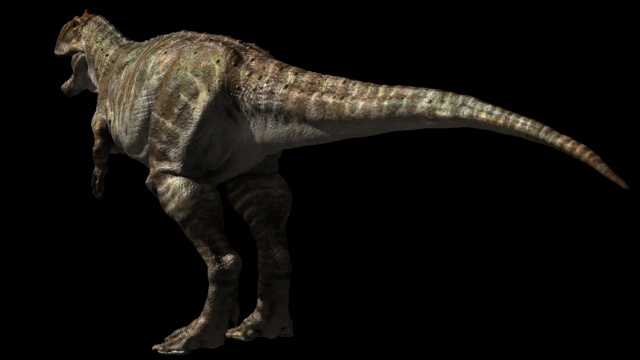 Rajasaurus Rear View