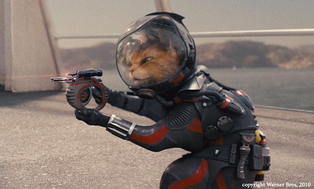 Cats and Dogs: Cat Wetsuit