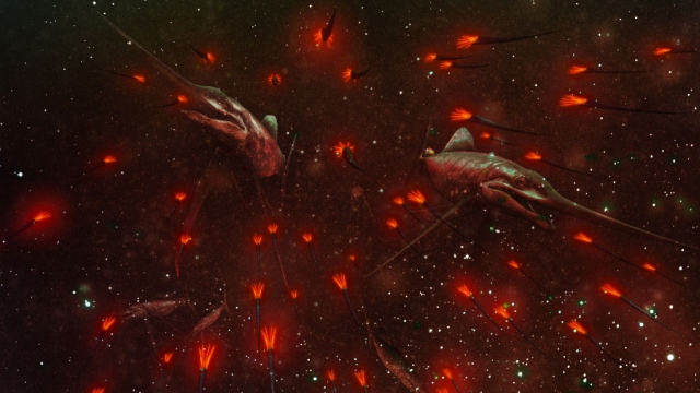 Baculites Spawning Key Art