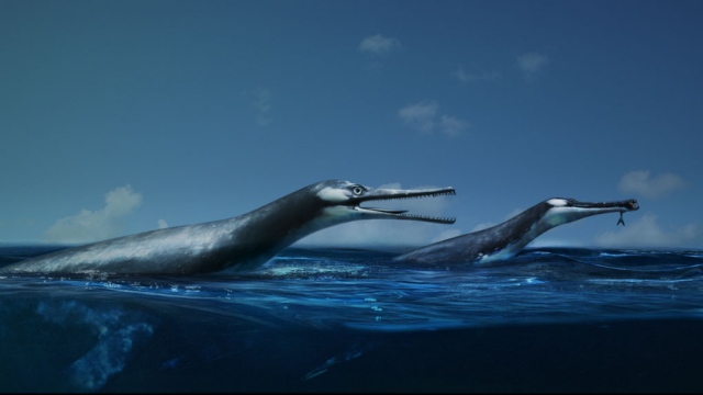 Dollies Surfacing Key Art