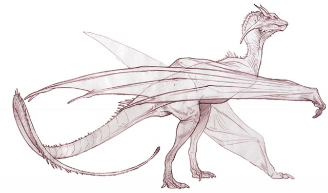 Dragon Concept