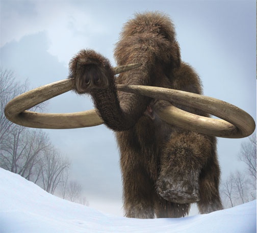 Mammoth (Mega-Beasts/ BWRTE)