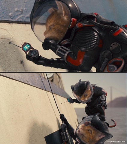 Cats and Dogs: Cats in Wetsuits and their Toys