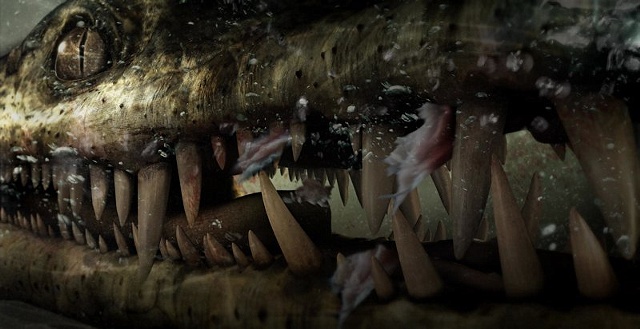 Nothosaurus Gatefold
