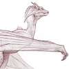 Dragon Concept