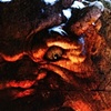 Mutant Land Poster