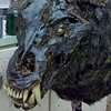 Hellbound Zombie Werewolf 3