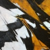 Untitled (so far)