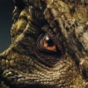 National Geographic: Dracorex