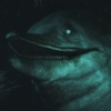 Temnodontosaurus