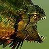 Piranha 3d concept