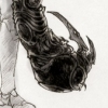 Parasite