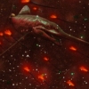 Baculites Spawning Key Art