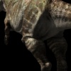 Rajasaurus Rear View