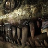 Nothosaurus Gatefold